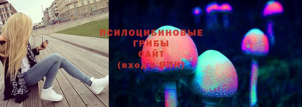 соль ск Приозерск