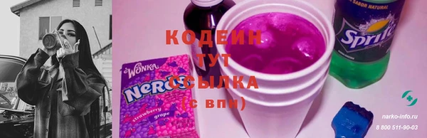 соль ск Приозерск